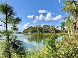 Lake and natural landscape at Hardee Lakes Park